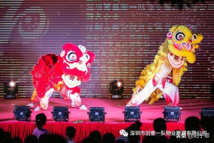 锦田湾我是护旗手,我是护旗手主题活动