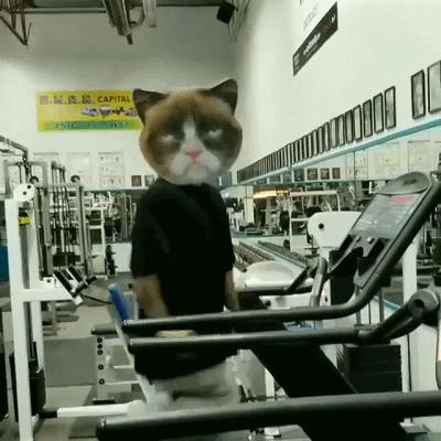 健身房奇葩你遇到了哪种,盘点健身房里的那些奇葩们