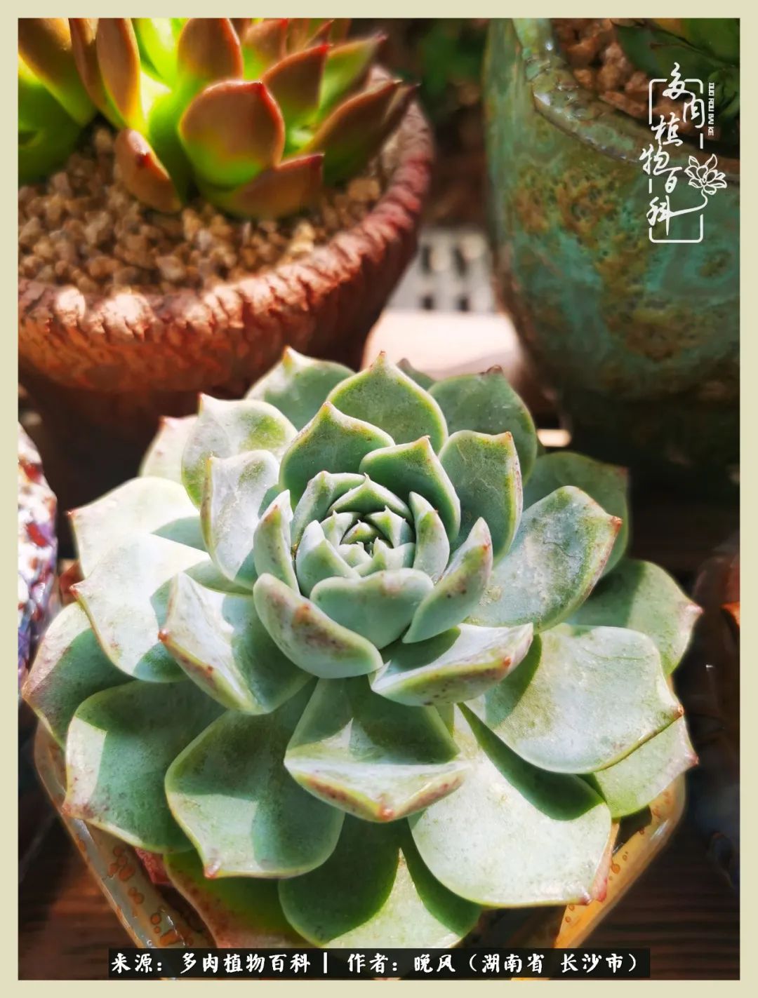 摇身一变成了奶爸,摇身一变成为打工人