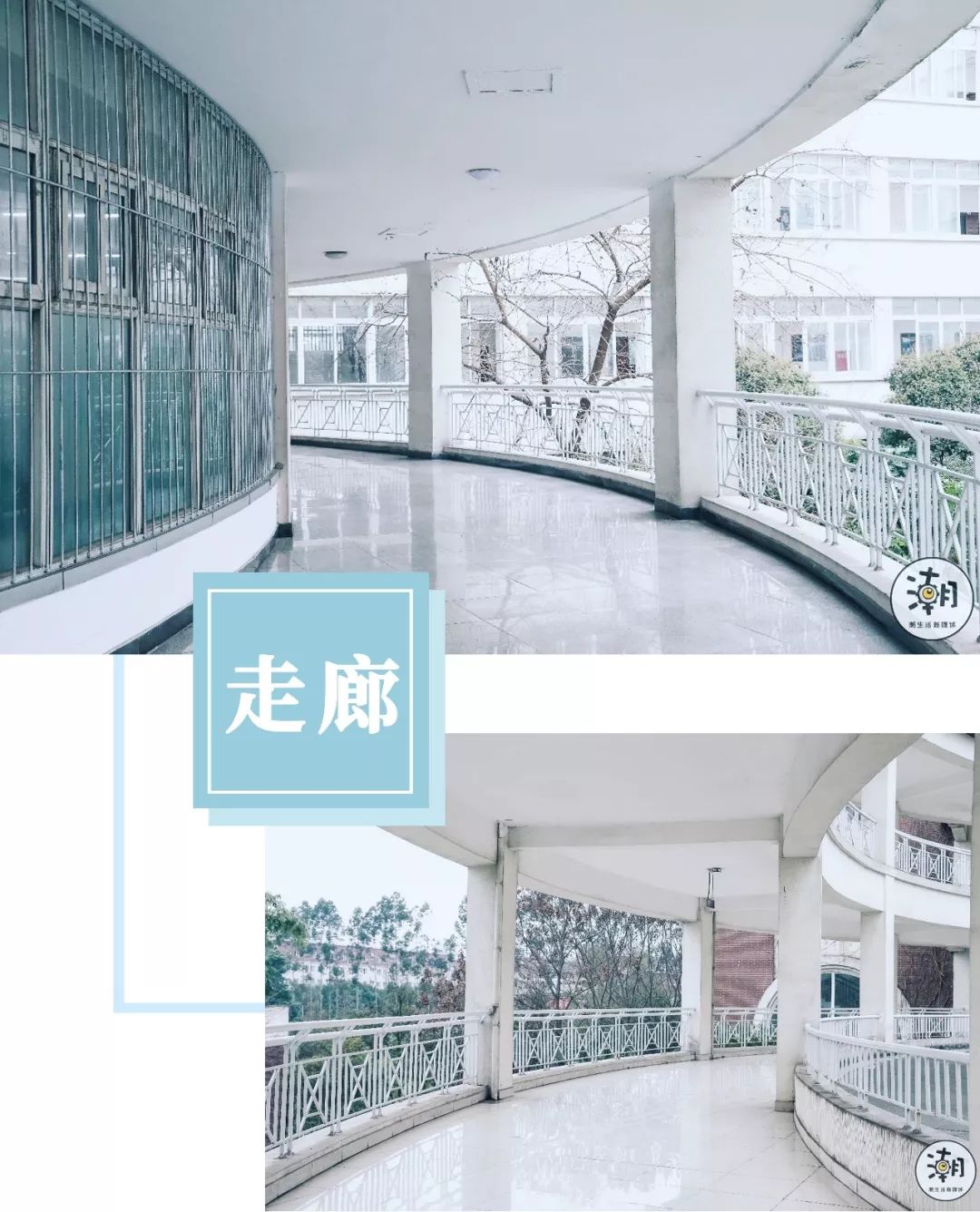 閿﹀煄鐨囧璐垫棌瀛﹂櫌,鎴愰兘閿﹀煄璐垫棌瀛﹂櫌