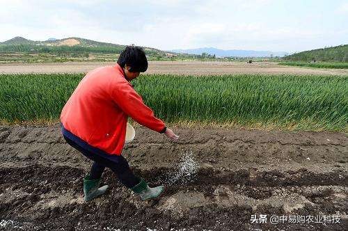 以虫治虫的方法,虫害防治最佳方法