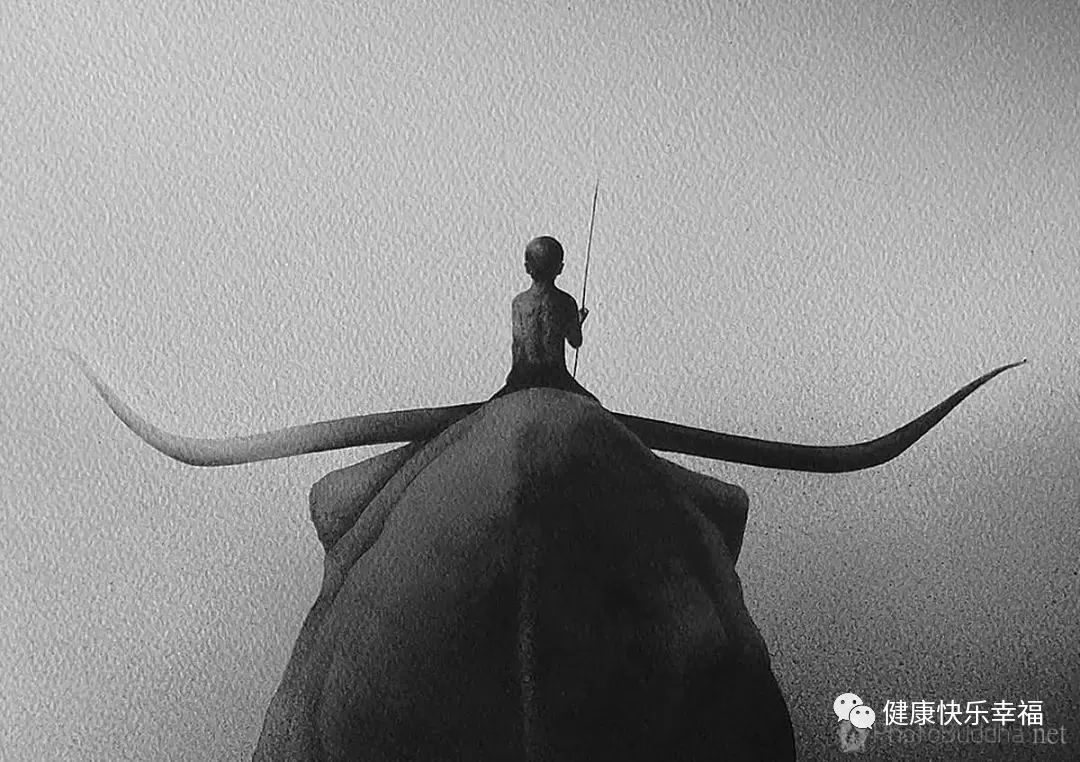 把握人生的真谛的句子,不抱怨把握人生分寸感