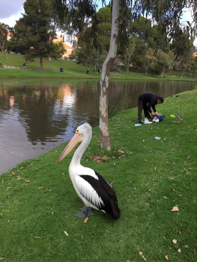 在澳洲的生活是一种怎样的体验：这边的人很懒，非常喜欢钓鱼