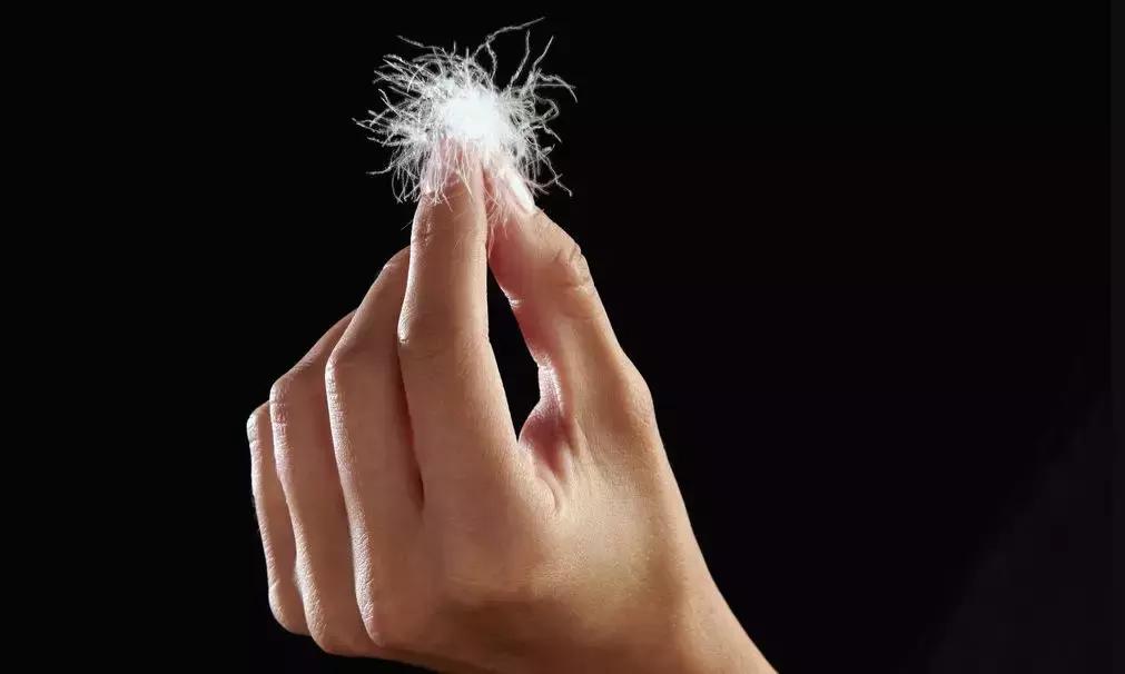 羽绒被鹅绒被哪个牌子实惠又好,鹅绒羽绒被95%与90%哪个好