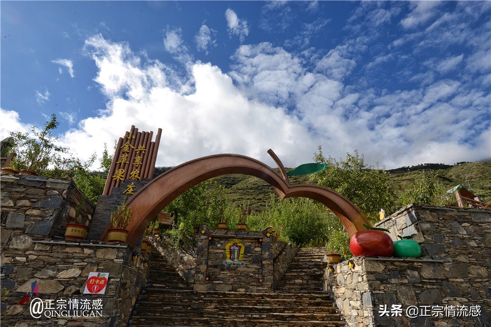 夜色成都串串爽,魅力小金苹果香#国庆中秋趣哪玩#