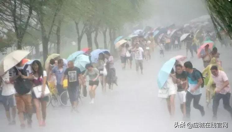 应城新闻今日,2019应城新闻今日头条