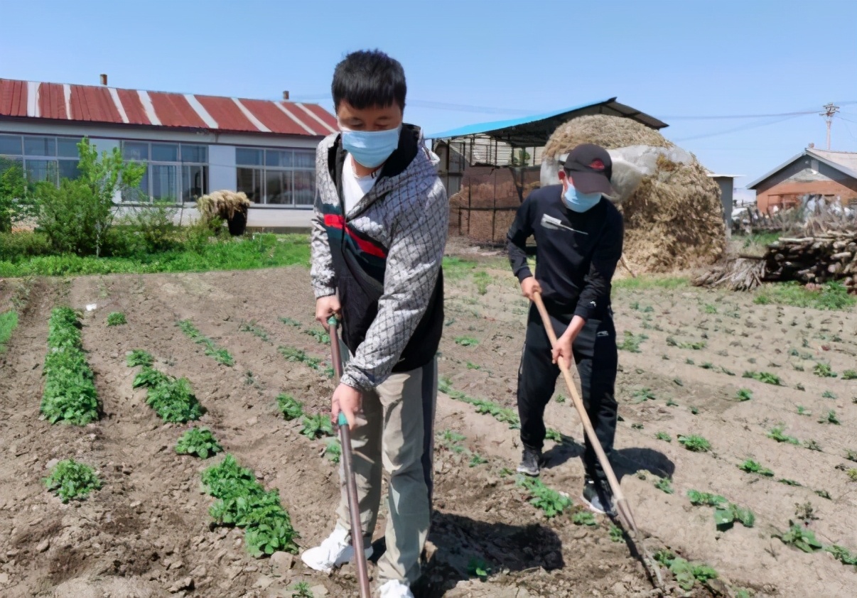 延寿县致富,延寿县扶贫