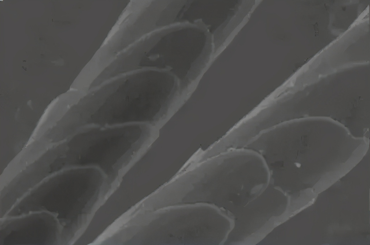 冬季羊毛羊绒袜,纯羊绒袜子软糯