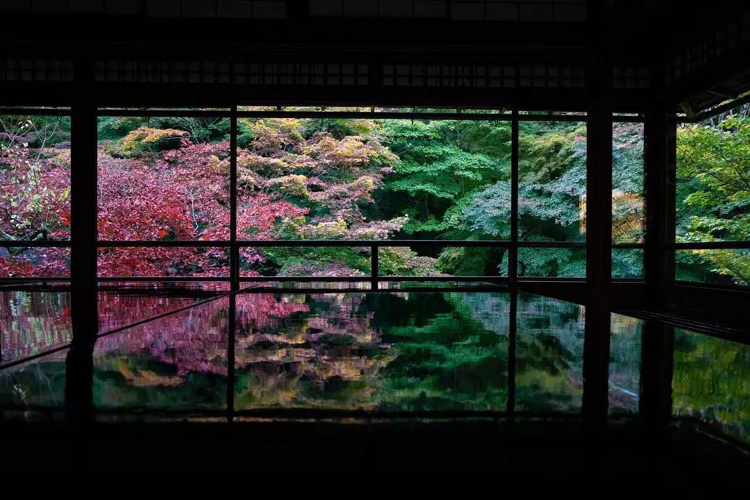 停车坐爱枫林晚风景,停车坐爱枫林晚季节