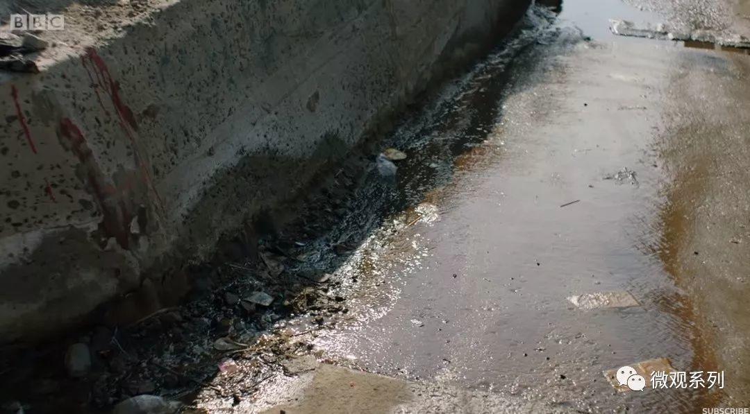 一条冰川的悲歌，与一个国家的*都迁**