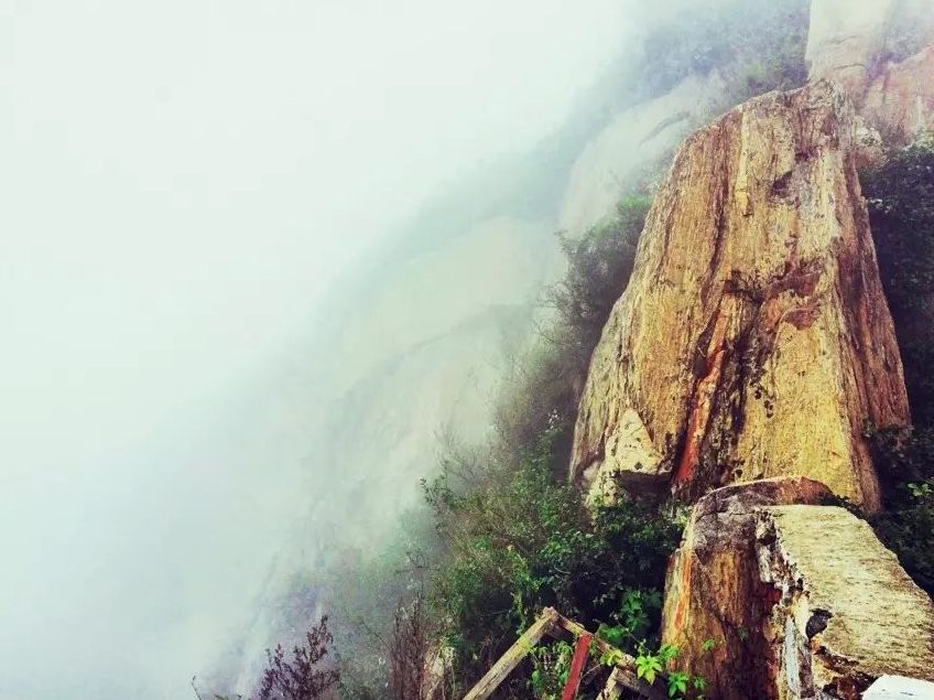 2020旅行时间表,2021年旅行时刻表出炉