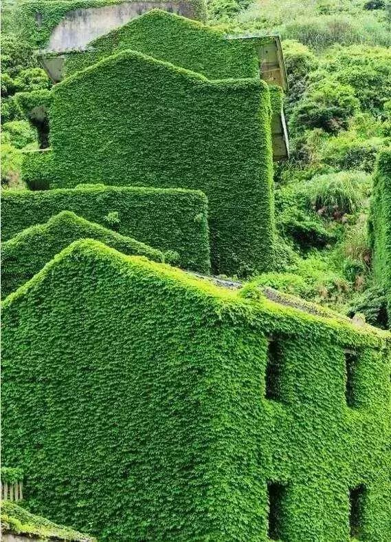 别去*藏西**了!从阜阳坐飞机不到200块,就能到这个海岛浪一圈