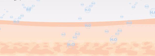日本takami美容液,takami角质美容液测评