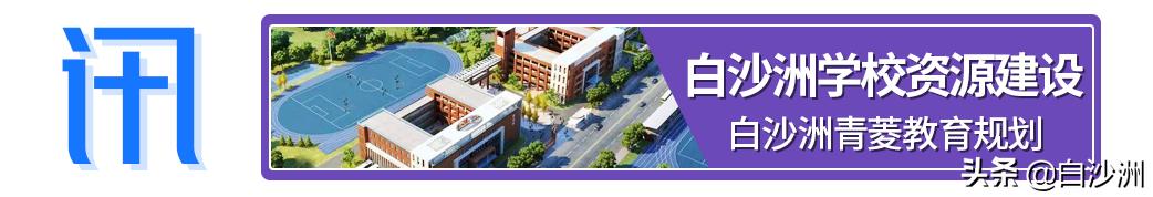 白沙洲大市场在哪里,白沙洲江南汽车交易市场