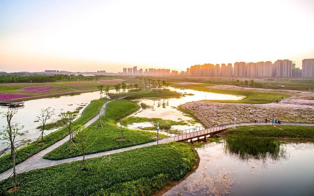 长沙牛耳软件学院有什么专业,长沙牛耳软件学院