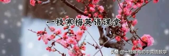 人教版高中英语必修1词汇表图,高中英语必修一重点单词短语归纳