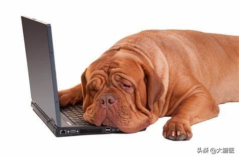 糖尿病人容易觉得疲劳是什么原因,糖友老觉得疲劳该怎么办