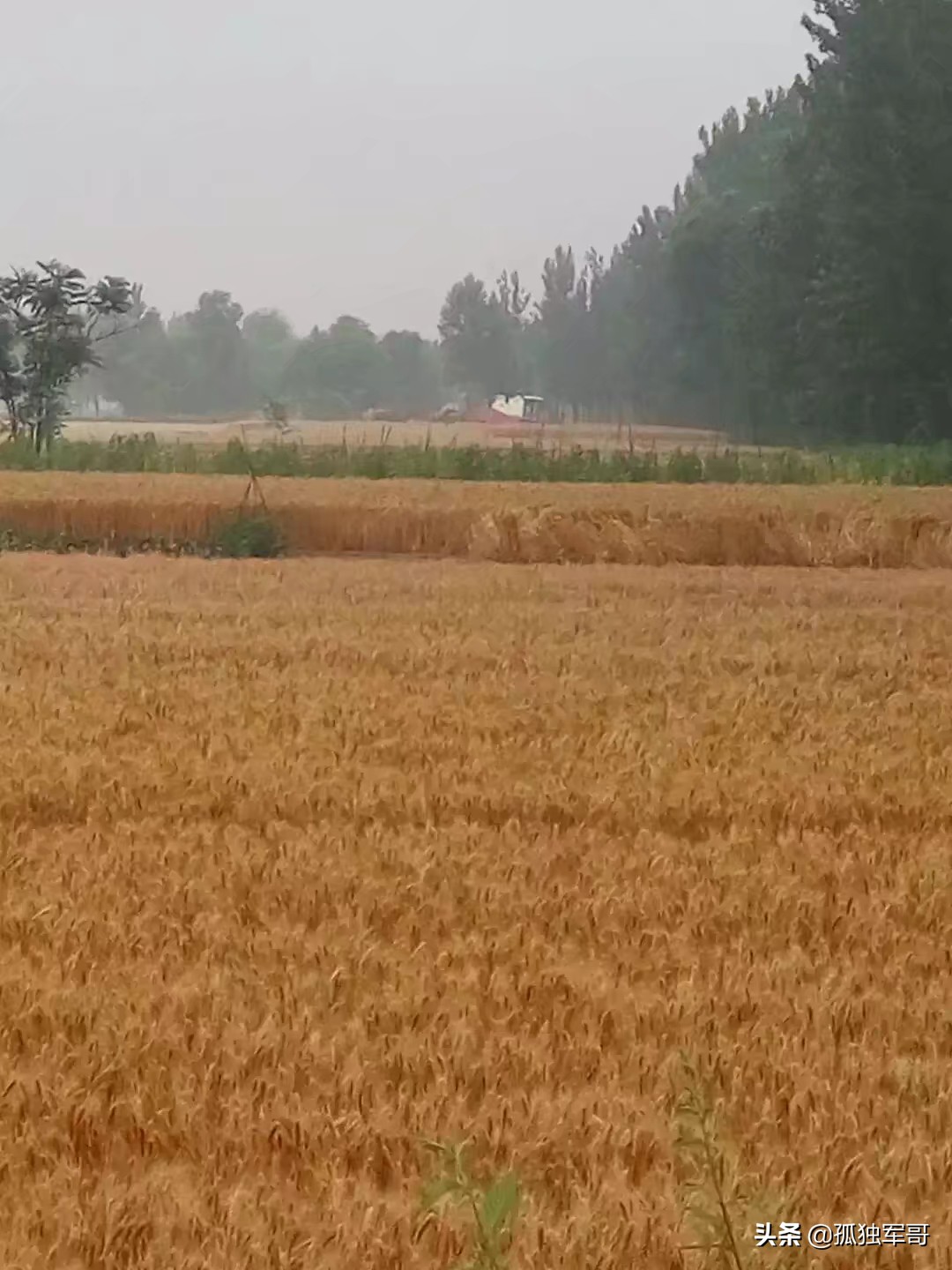 农村户口在城里买房怎样迁户口,为了孩子上学把户口迁到城里