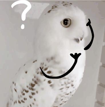 排便老是感觉排不干净喝什么药,排便总感觉擦不干净