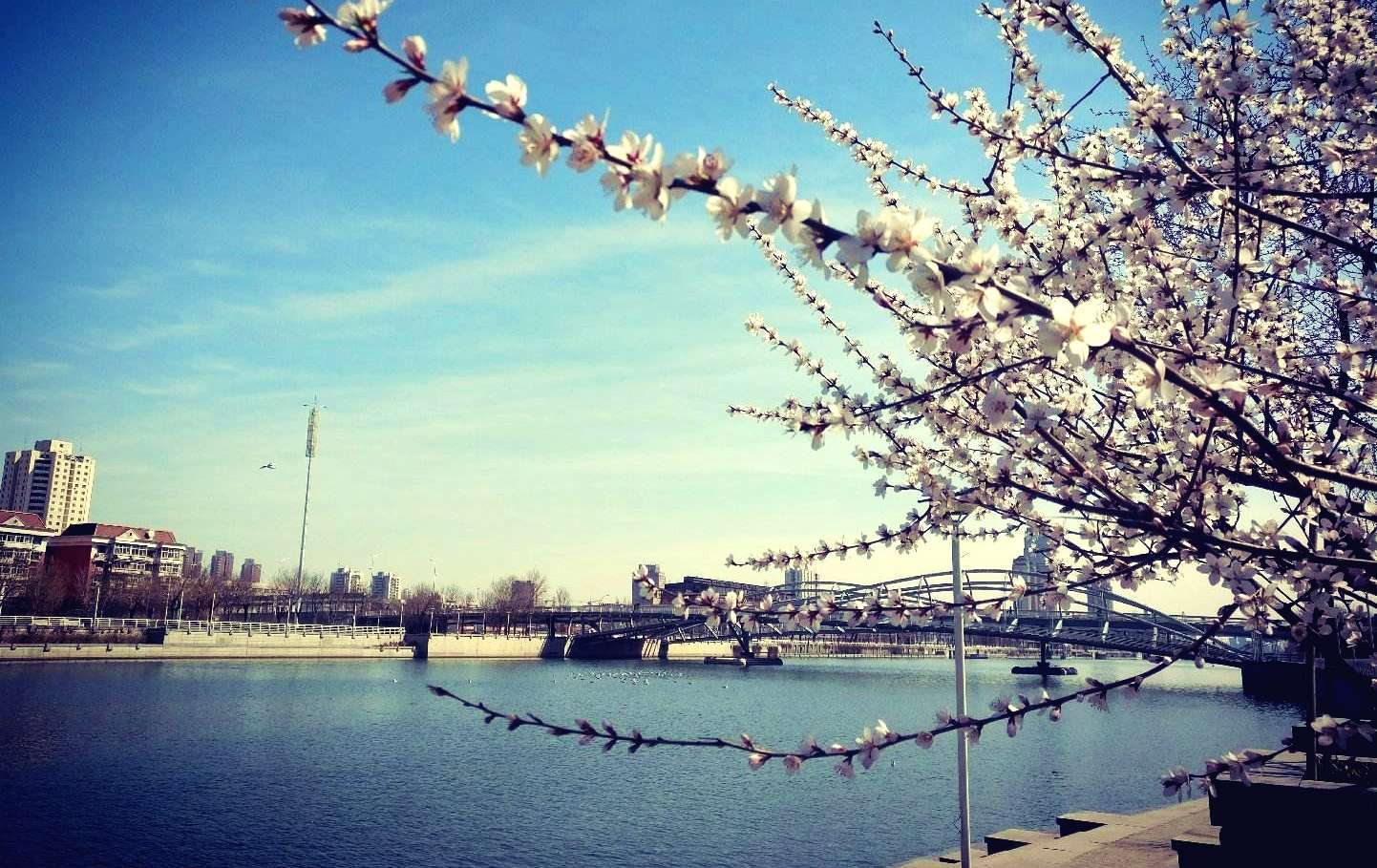 天津市各区幸福指数排名,未来的天津市河西区