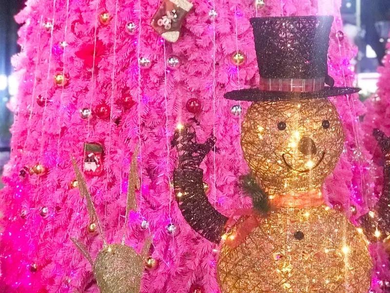 超bingbing！2018东莞最全圣诞打卡地图！14个商场一次看完！