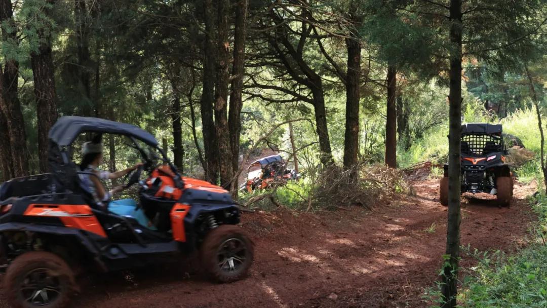 无法离昆，就地过年！昆明亲子游推荐路线重磅来袭！花样过牛年