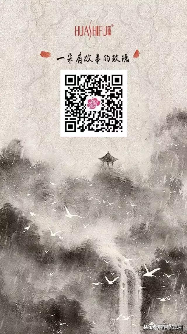 「花师傅开课啦」爱花人必知！南京*瑰园玫**为你科普百种玫瑰