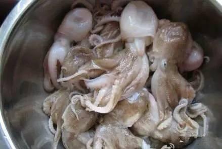 史上最全海鲜视频,史上最全海鲜贝类大全