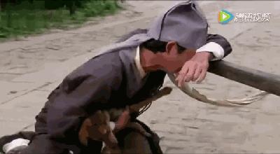 灭蟑螂最好的方法一招解决,蟑螂怎么灭杀最好方法