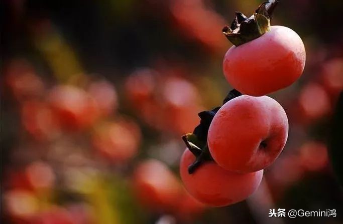 10年包浆老串,老包浆老串