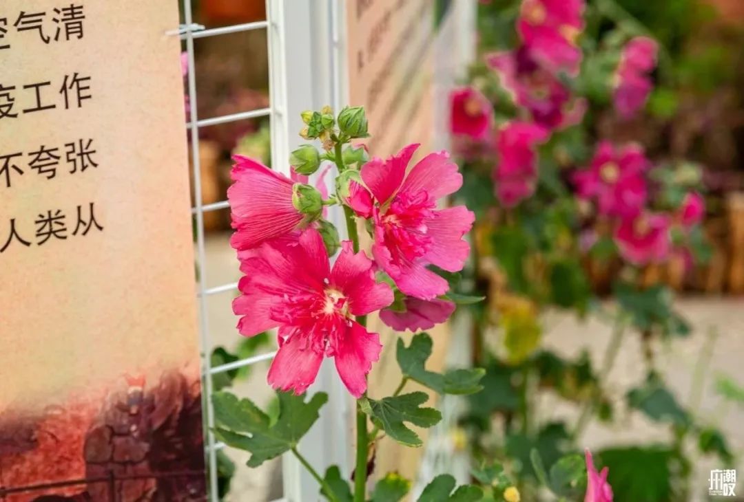 300+万㎡原始森林秘境，天河就有