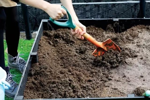 教你打造一米菜园,自家菜园教程新手入门