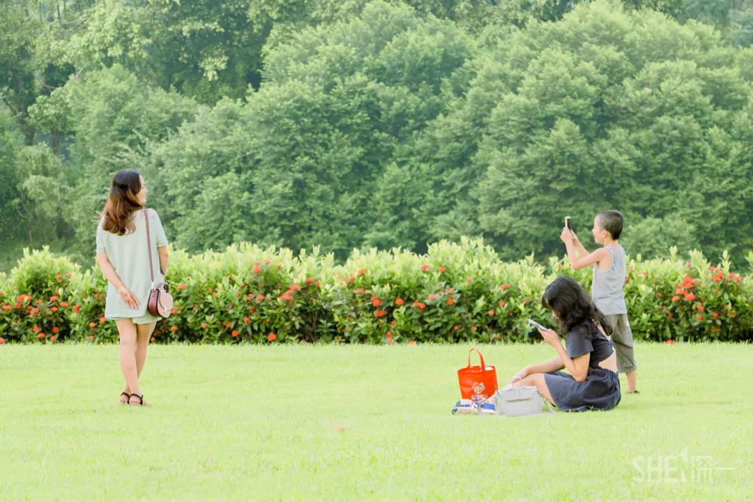 深圳卖衣服的商场,深圳的商场有哪些