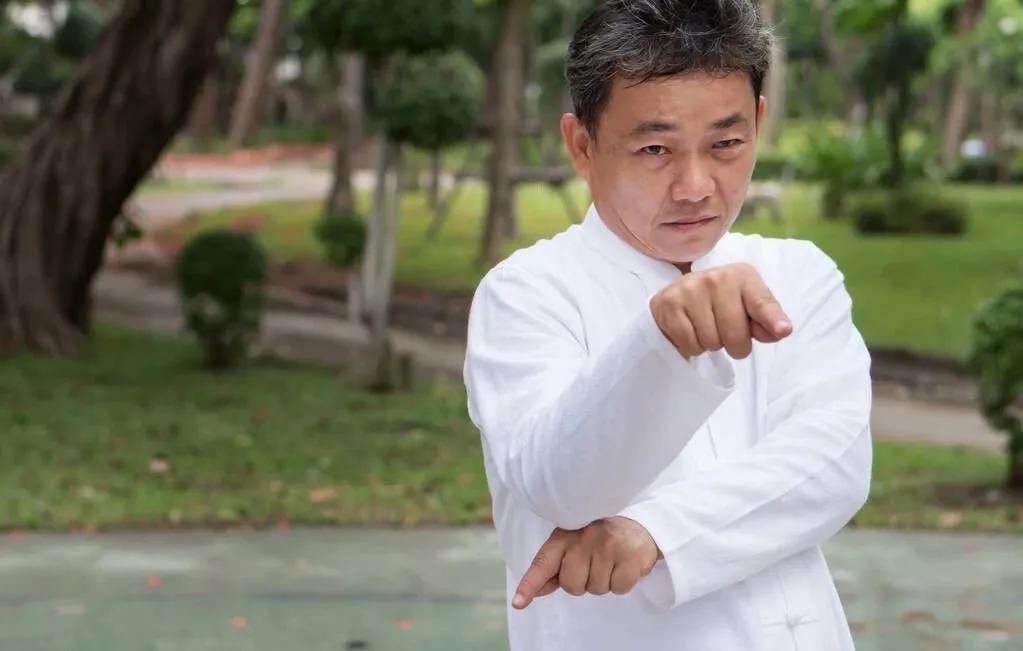 现实中的螳螂拳,中国螳螂拳流派