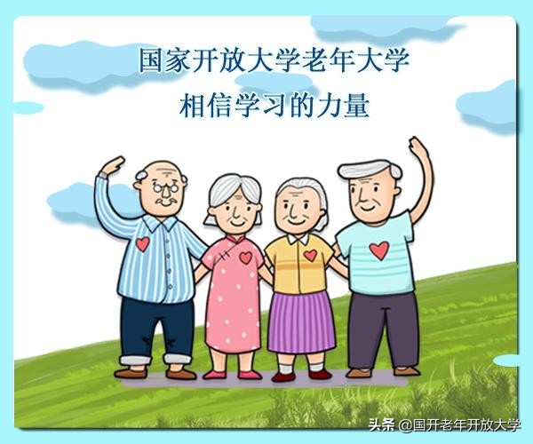 老年大学插花教程,创意插花课