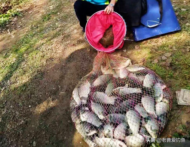 长期钓鱼的人容易得什么病,经常钓鱼对身体健康好不好