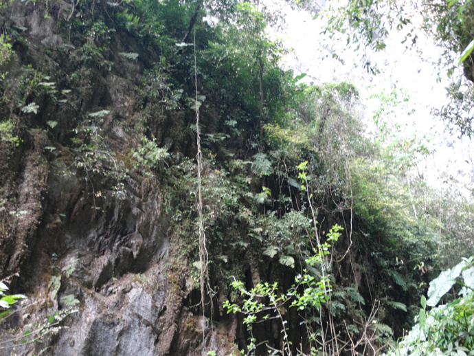 师宗凤凰谷走马观(中)