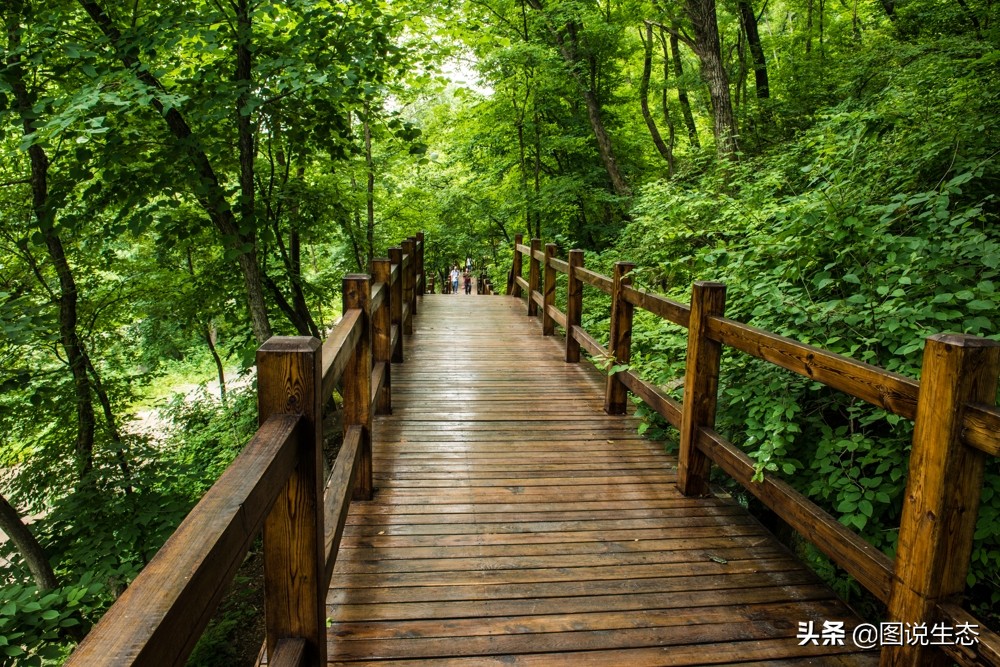 农村大山发现一尊山体大佛,本溪大峡谷天然石佛