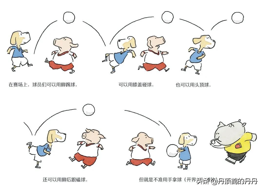 让孩子爱上科学的动物书,适合孩子启蒙认识动物的书