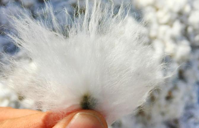 国货毛巾品牌,创业7年一路走来