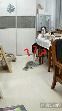 搞笑gif你们这些城里人太会玩了,搞笑gif逗比的世界你永远理解不了