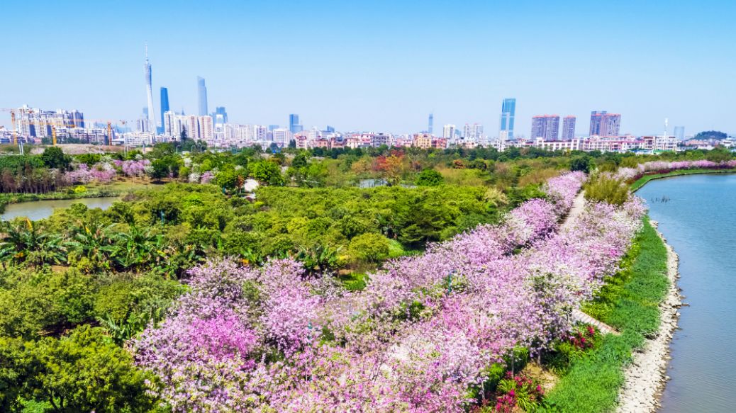 广州公园景区最新开放情况,广州动物公园现在开放吗