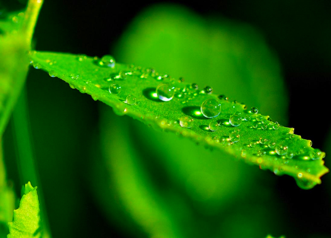 用情至深的人也容易极端,用情太深的人都容易心碎