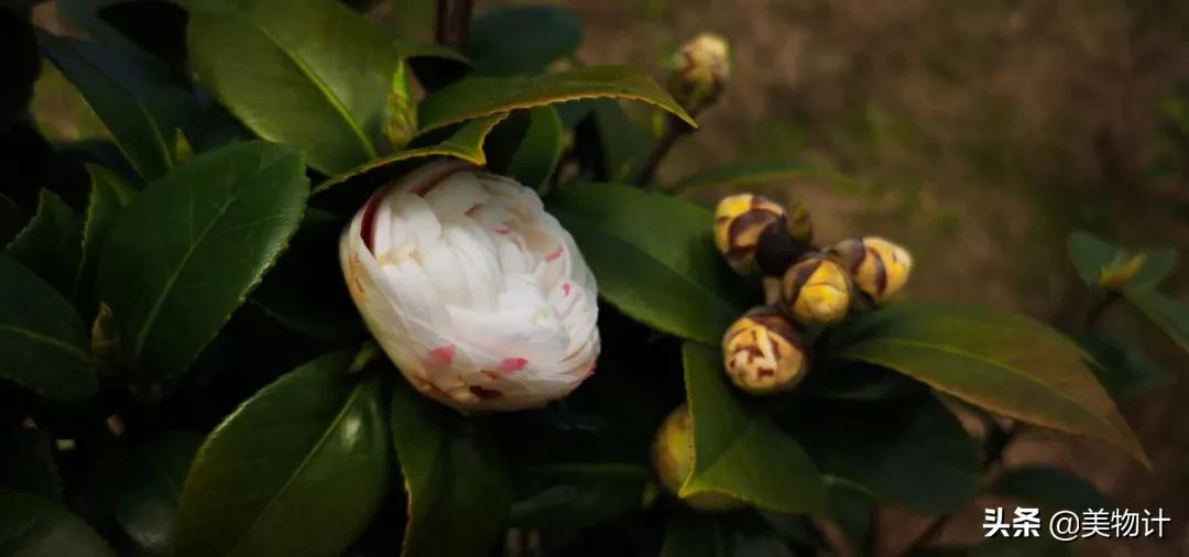 有冬要来有雪入怀泣不成声,有冬要来有雨入怀