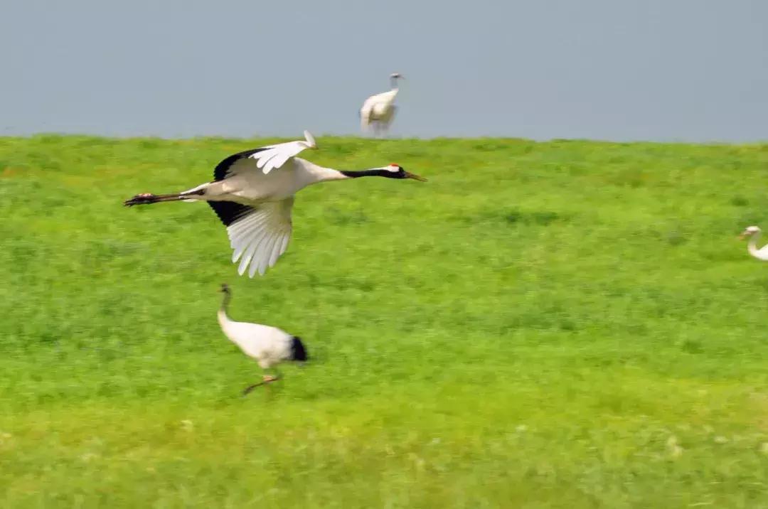 几个闺蜜自驾游的视频,一群闺蜜旅行视频
