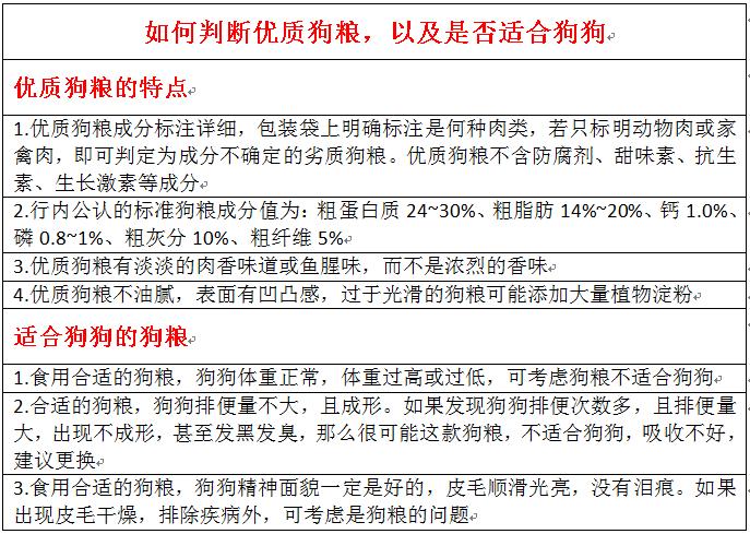饲养拉布拉多应该选择什么狗粮,饲养小型犬狗粮怎么选购