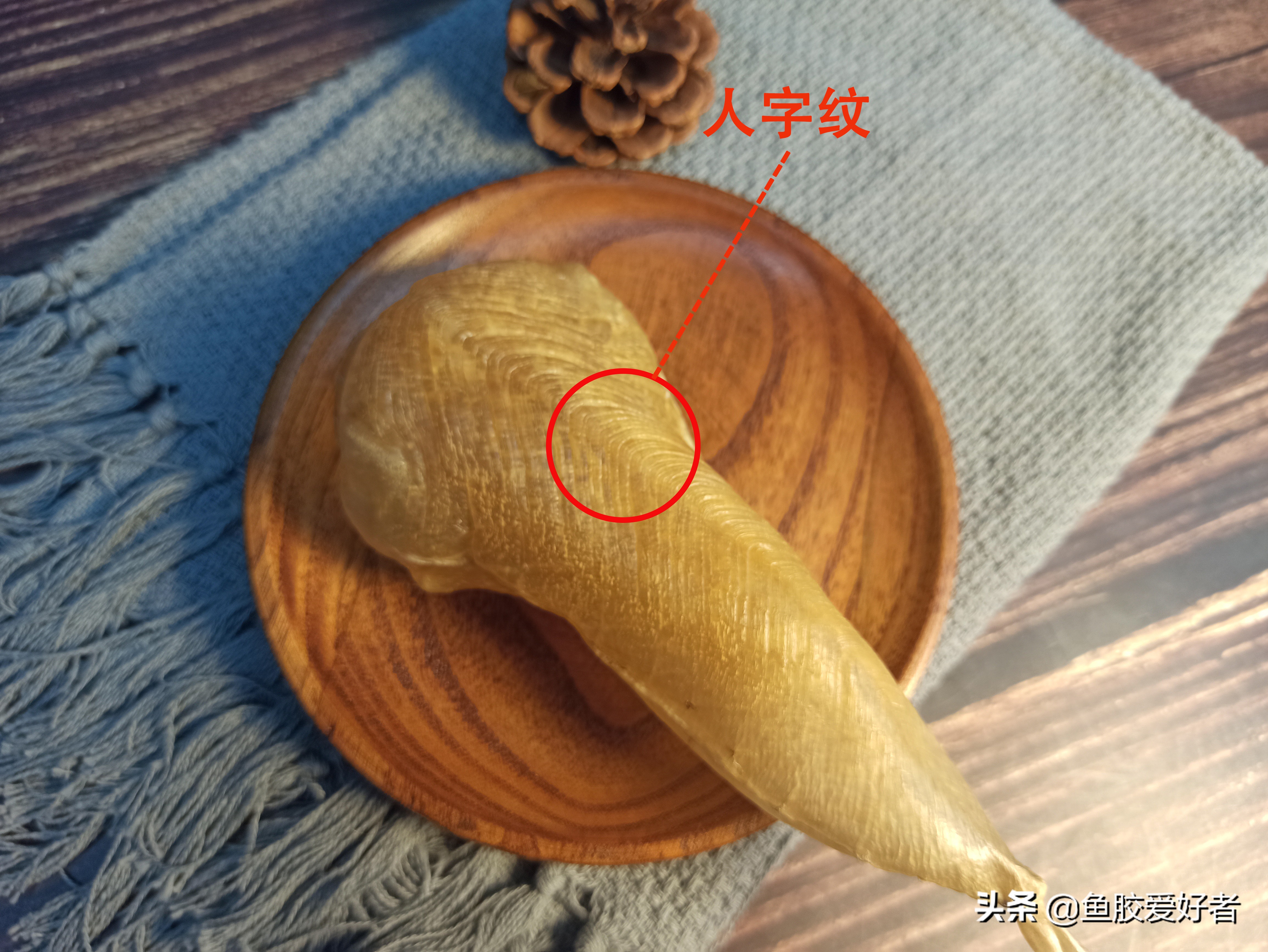 白花胶怎么做功效最好,白花胶怎么炖煮