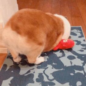 一个倒霉蛋的两年驾考途,完整版