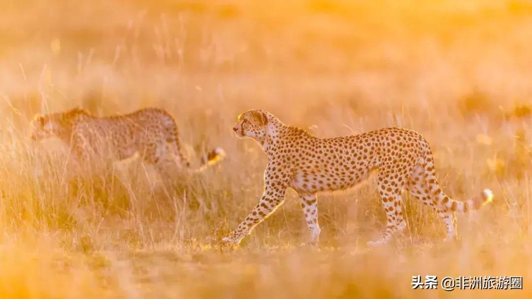 15个你不知道的颜色冷知识,10条你不知道的韩国冷知识