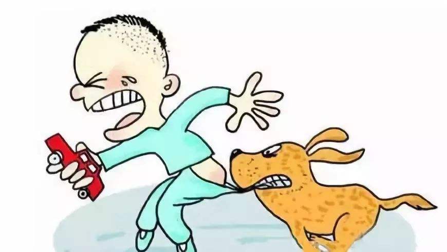 5岁女童被狗咬后续,初中生被狗咬了6年过去了